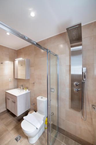 a bathroom with a toilet and a shower at Ruellia Luxury Apartments in Lefkada Town
