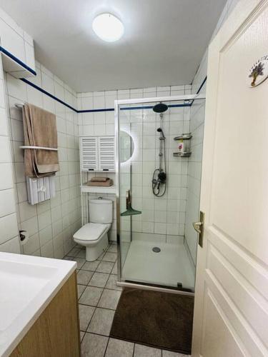 une salle de bain avec douche et toilettes dans l'établissement T2 face à la mer en première ligne, à Canet