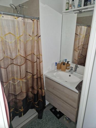 bagno con lavandino e tenda doccia di JO Appart Paris Summer ad Aubervilliers