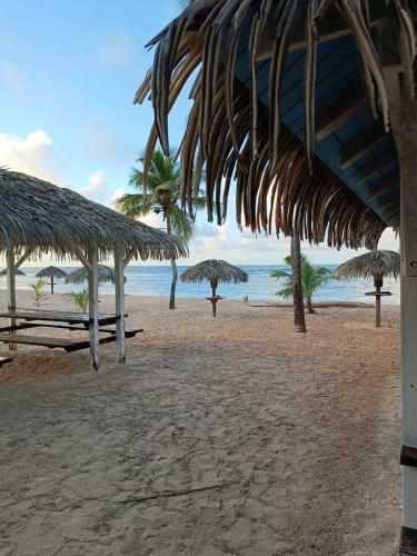 a beach with some straw umbrellas and the ocean at La Suite Serendipity piscine et plage in Saint-François