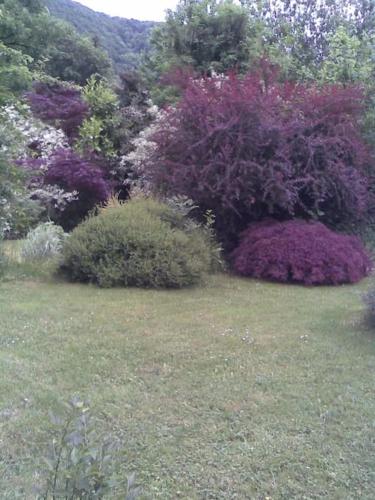 a garden with purple and purple bushes and grass at Les terrasses de la vallée - Esneux (Liège) in Méry