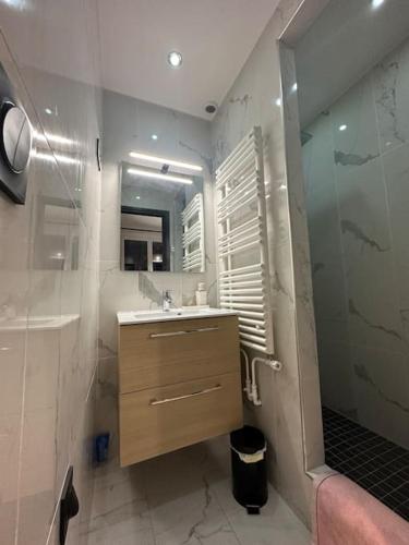 une salle de bain avec un lavabo et une douche avec un miroir dans l'établissement ECRIN AU COEUR DE PARIS PRES DU JARDIN DU LUXEMBOURG, à Paris
