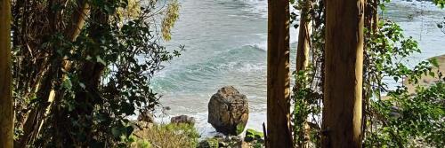 a view of a body of water from a forest at Casa María VUT 5614 AS in Villaviciosa