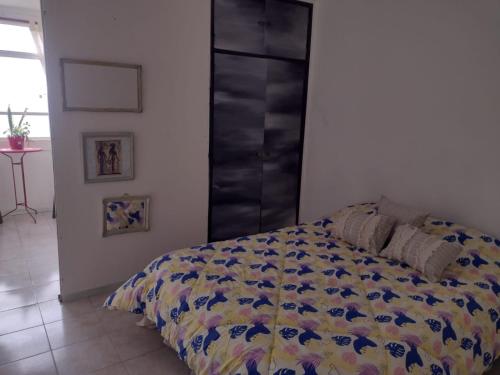 1 dormitorio con 1 cama con edredón en OLIVO&ACACIA en Rosario