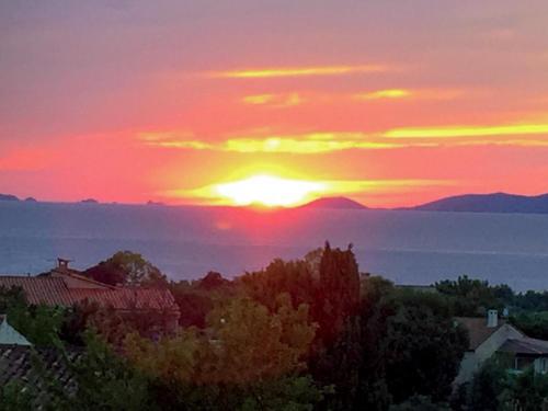 Φωτογραφία από το άλμπουμ του Corsicadream Arone superbe appartement dans villa, vue panoramique mer, piscine, proche Porticcio σε Pietrosella