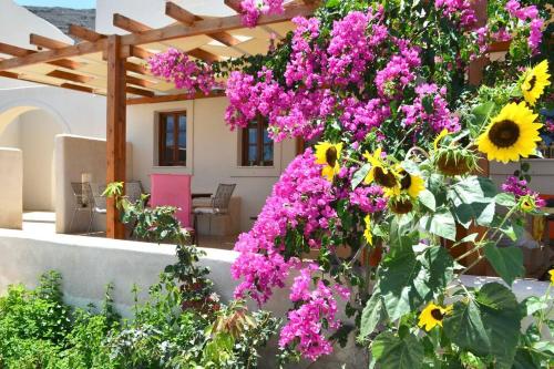 Cactus hideaway with sea views