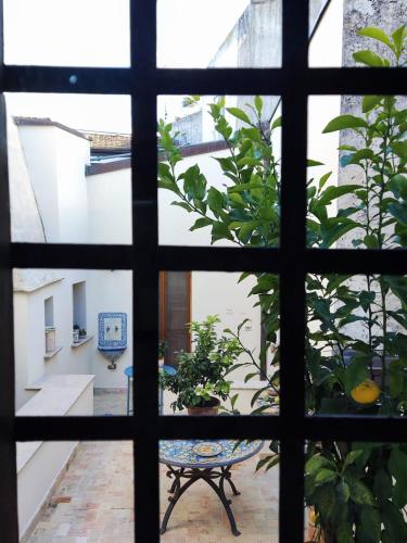 Rachel's House – Photos 3