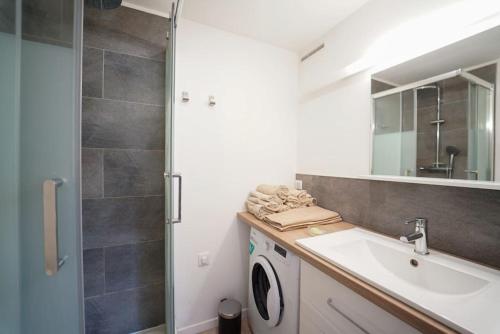 a bathroom with a sink and a washing machine at L'appartement Lafayette in Annecy