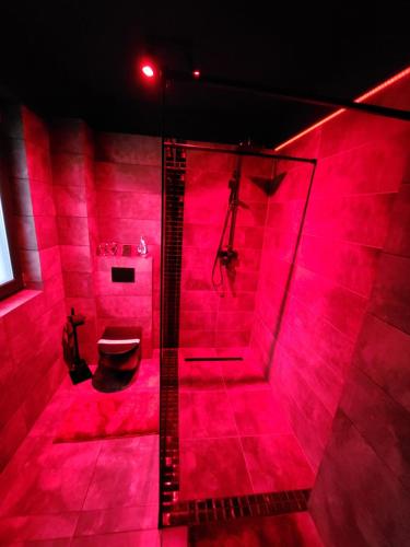 y baño rojo con aseo y ducha. en Love freedom bdsm, en Iaşi