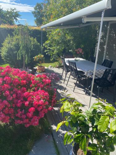 een patio met roze bloemen en een tafel en stoelen bij Lys nyoppusset leilighet in Tønsberg