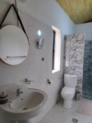 ein Badezimmer mit einem Waschbecken, einem WC und einem Spiegel in der Unterkunft La Fandenoise in Thiès