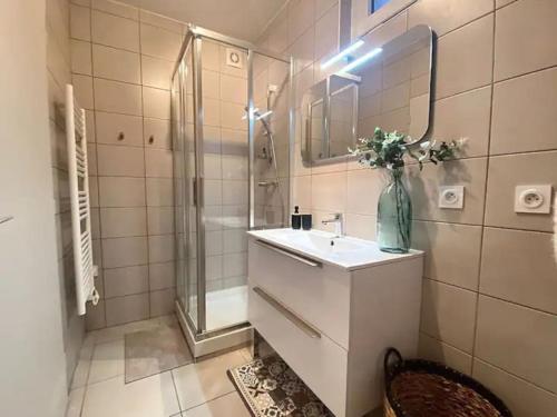 ein Badezimmer mit einem Waschbecken, einer Dusche und einer Vase aus Blumen in der Unterkunft Casa Paoli_Centre gare + parking in Annecy