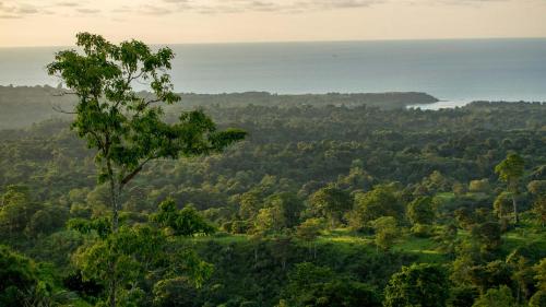 a view from the top of a hill with a tree at Playa Azul Suites in Tonsupa