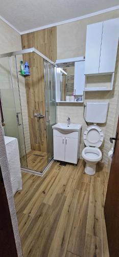 a bathroom with a toilet and a shower and a sink at House Vidakovic in Kolašin