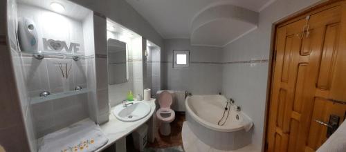 a bathroom with a sink and a toilet and a tub at Casa Caldura Rodica in Buşteni