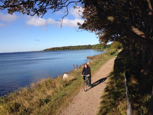 a person riding a bike on a path next to a lake at Nysted Strand Camping & Cottages in Nysted