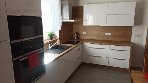 een keuken met witte kasten en een wastafel bij Apartmány Volavka in Planá nad Lužnicí