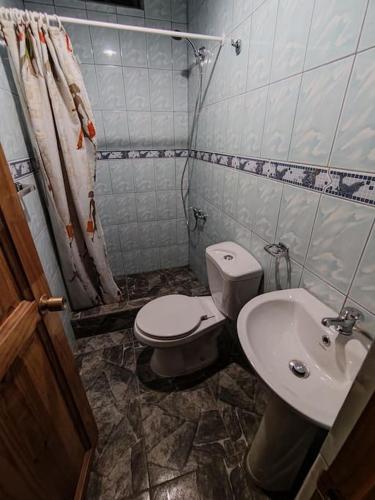 y baño con aseo y lavamanos. en Mini departamento en hostal, en San Pedro de Atacama