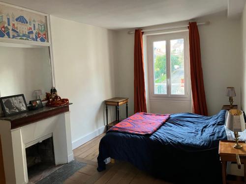 1 dormitorio con 1 cama, chimenea y ventana en Chambre d’hôte proche Paris, en Saint-Martin-du-Tertre