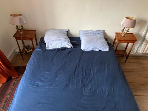 1 dormitorio con 1 cama azul y 2 almohadas en Chambre d’hôte proche Paris, en Saint-Martin-du-Tertre