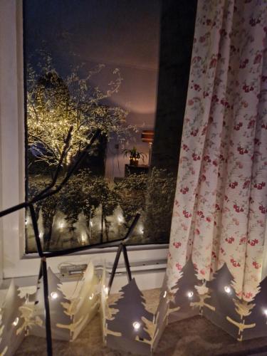a window with a curtain and christmas lights at Huisjeaandedinkel in Overdinkel