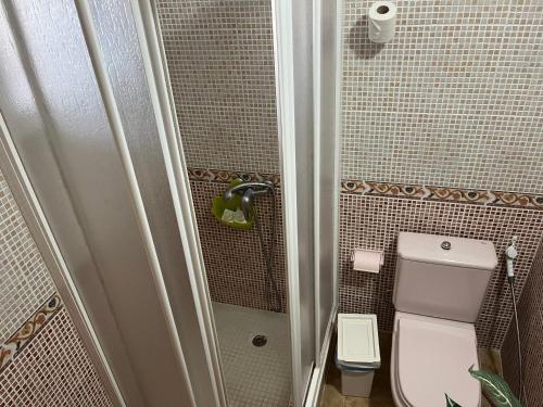 een kleine badkamer met een toilet en een douche bij Casa Verde in Vallehermoso