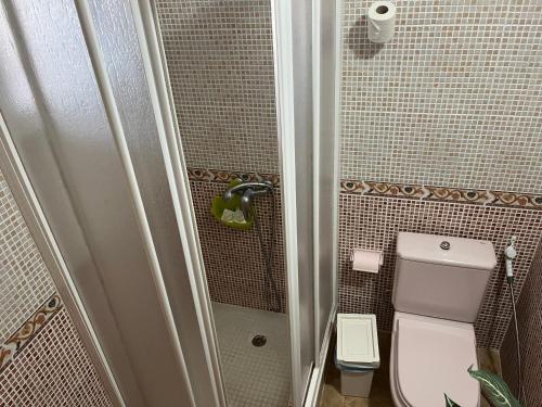 Un pequeño baño con inodoro y ducha. en Casa Verde, en Vallehermoso