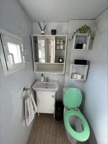 La salle de bains est pourvue de toilettes vertes et d'un lavabo. dans l'établissement Estudio en Palma de Mallorca a metros de la playa, à Can Pastilla