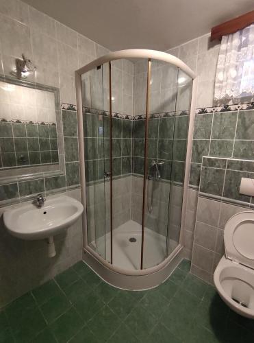 a bathroom with a shower and a toilet and a sink at privat kobr in Rokytnice nad Jizerou