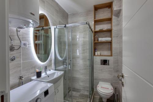 a bathroom with a shower and a sink and a toilet at Luxury Residence in Belgrade