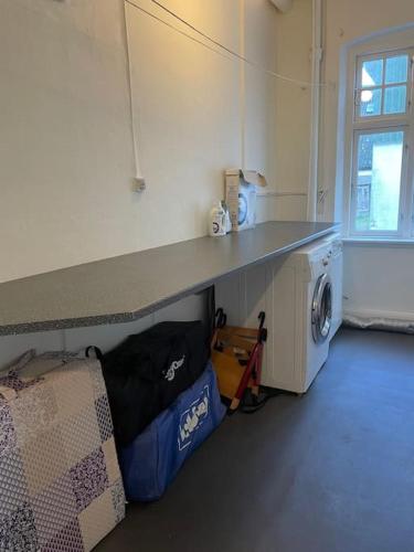a kitchen with a counter and a washing machine at Havlykkegaard - en unik gammel dame ved Østersøen in Idestrup