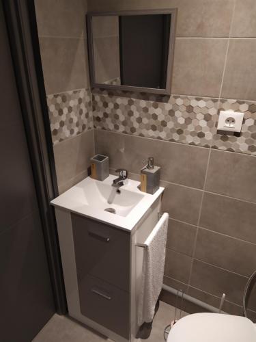 a bathroom with a sink and a mirror and a toilet at charmant gite 25m² indépendant in Alès