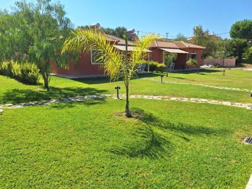 a palm tree in the middle of a yard at Comfeto & Mandolato Sweet Houses in Lakithra