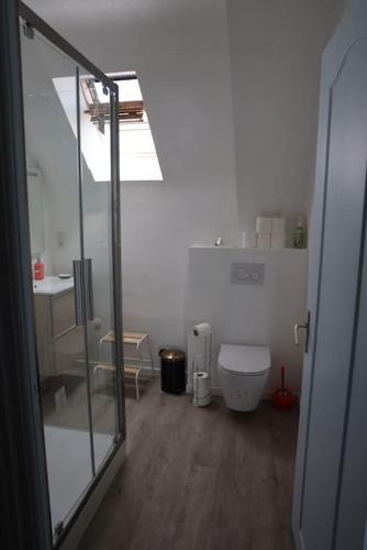 La salle de bains est pourvue de toilettes et d'une porte en verre. dans l'établissement Logement au centre du Conquet, au Conquet