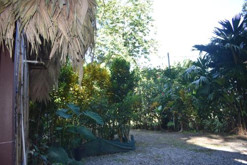 a garden with trees and a dirt road at Casita Flor de Loto in Puerto Viejo