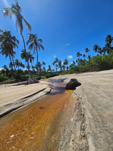 a dirt road with palm trees on a beach at Casa Caroá - Chalé 3 in Japaratinga