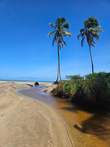 two palm trees on a sandy beach next to the ocean at Casa Caroá - Chalé 3 in Japaratinga