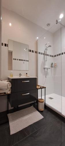Un baño con lavabo y ducha con espejo. en Les arcades Studio Coeur de ville, en Cholet