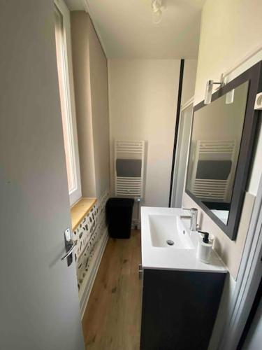 une salle de bain avec un lavabo blanc et un miroir dans l'établissement Laurema's BnB, à Toulouse
