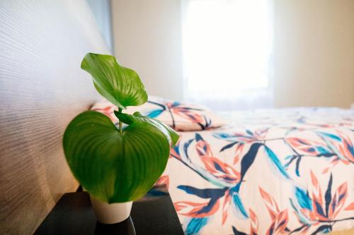 une plante verte dans un vase sur une table à côté d'un lit dans l'établissement Votre oasis de tranquillité proche de la ville T2 entièrement rénové et équipé secteur centre, à Fort-de-France