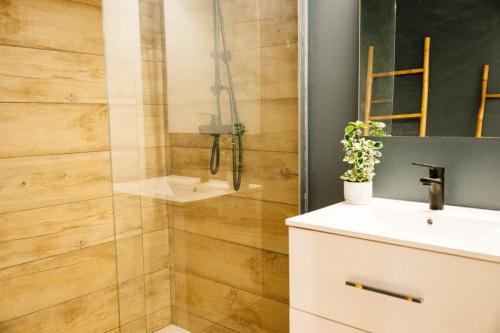 a bathroom with a shower with a sink and a mirror at Votre oasis de tranquillité proche de la ville T2 entièrement rénové et équipé secteur centre in Fort-de-France