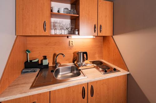 a kitchen with a sink and a counter top at Penzion Věžička in Lázně Bělohrad