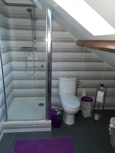 a bathroom with a toilet and a shower at Paris Magic - Villepinte Exhibition Center in Sevran