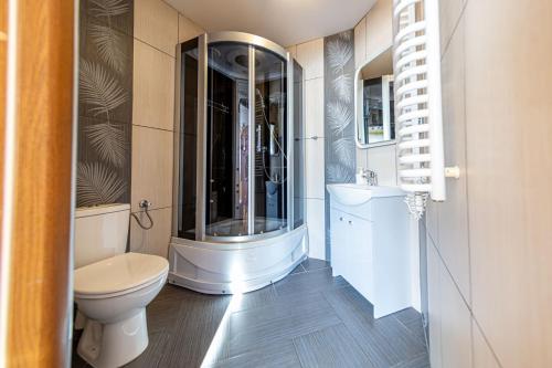 a bathroom with a toilet and a shower and a sink at Topór Apartament rodzinny z kominkiem i placem zabaw Kościelisko Zakopane in Kościelisko
