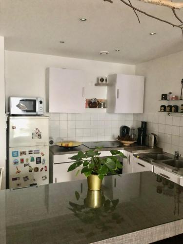 une cuisine avec une plante en pot sur un comptoir dans l'établissement Apartment Trocadero/Eiffel Tower, à Paris