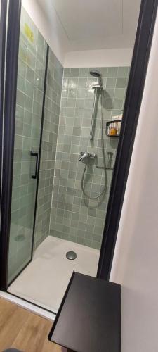 La salle de bains est pourvue d'une douche avec une porte en verre. dans l'établissement Maison avec jardin à Lille Bois Blancs, à Lille