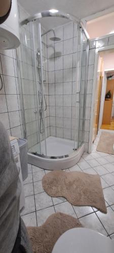 a bathroom with a shower and a toilet and a rug at Apartman Jonjić in Kupres