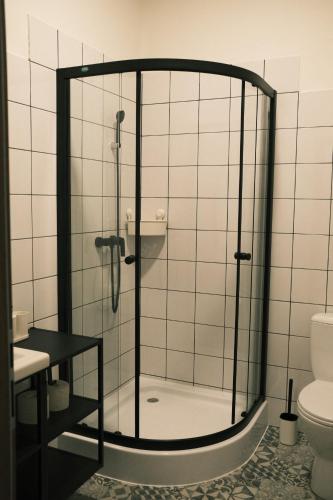 a glass shower in a bathroom with a toilet at Horalka Apartments in Jáchymov