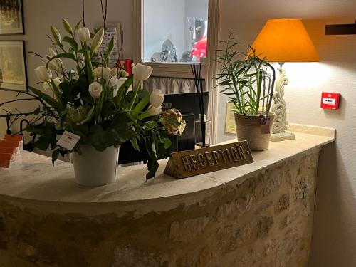 a counter with two potted plants and a sign on it at Le Clos d'Orange - Hotel & ville de Provence in Orange