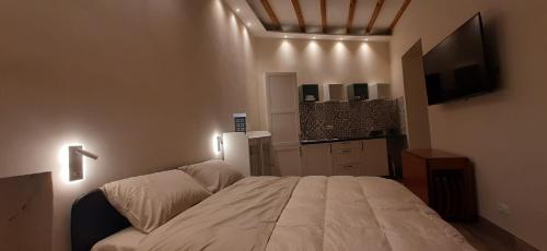a bedroom with a large bed and a flat screen tv at Casa Stella in Genzano di Roma